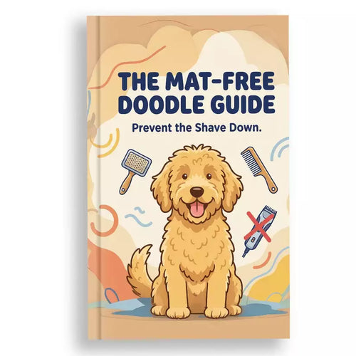 Goldendoodle The Mat-Free Doodle Guide