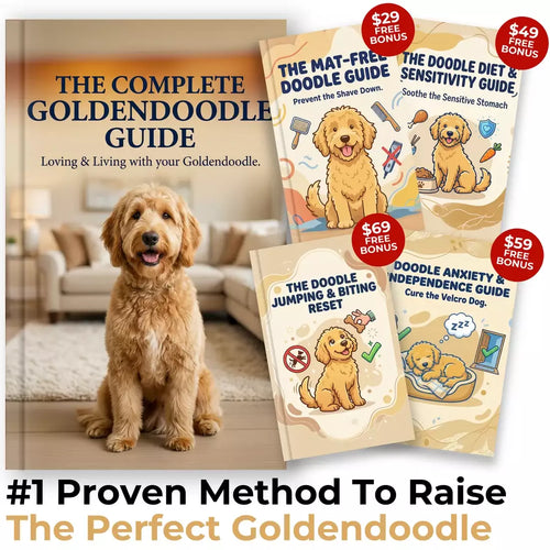 The Complete GoldenDoodle Guide