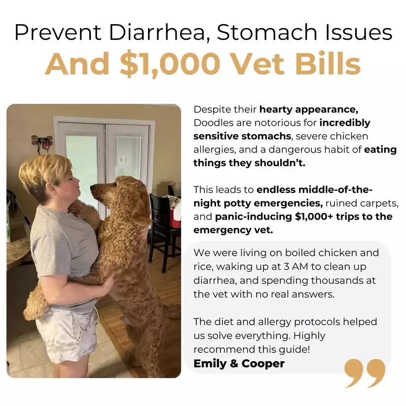 The Complete GoldenDoodle Guide