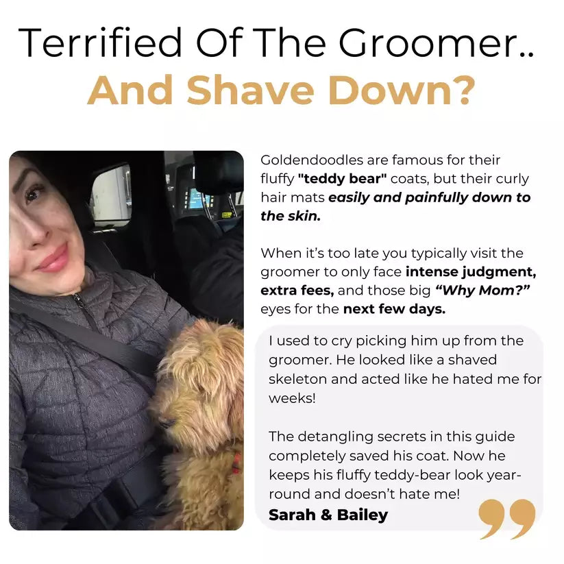 The Complete GoldenDoodle Guide
